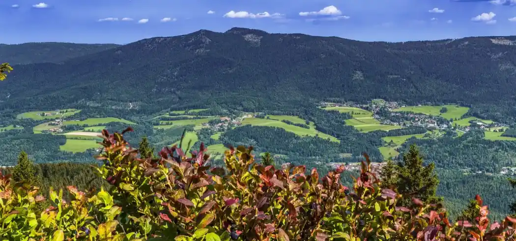 Foto - Woche Bayerischer