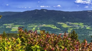 angebotsbild
