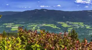 angebotsbild