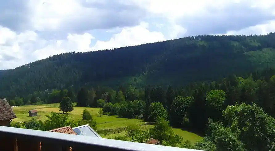 Hotelgasthof Hirsch - Bild 3