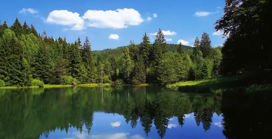 Foto - Vogtland Nächte