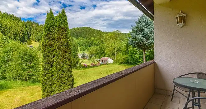 Aufnahme - Thüringer Wald