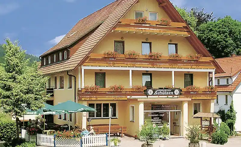 Nächte Baiersbronn - Bild 1