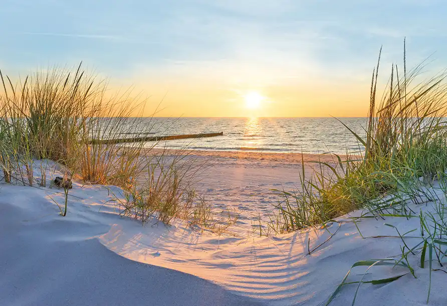 Impression - Landhotel Lewitz