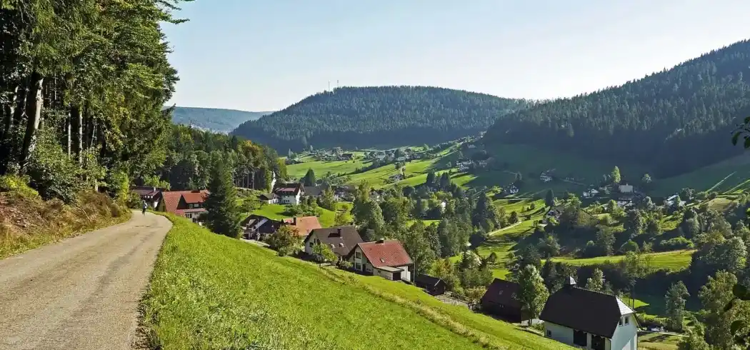 Foto - Nächte Baiersbronn