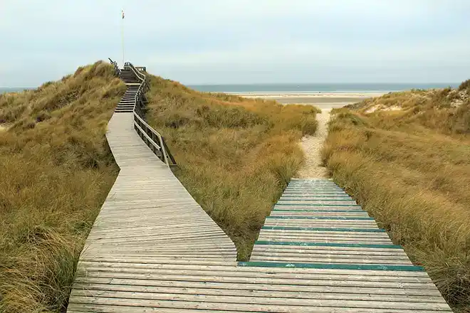 Foto - Nächte Insel