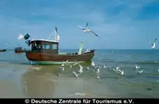 Ansicht - Nächte Insel