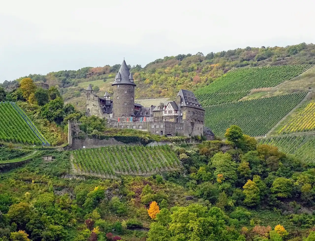 Aufnahme - Autorundreise Mosel