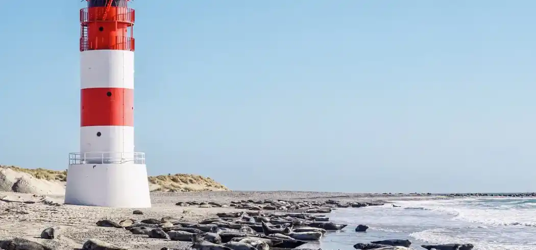 Foto - Nächte Nordsee