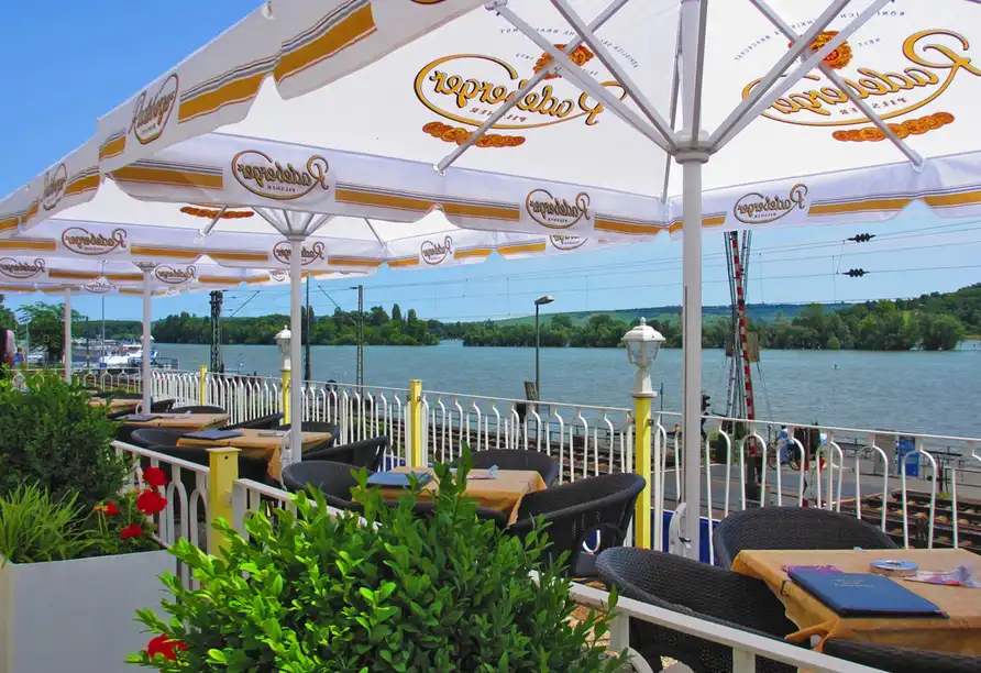 Impression - Nächte Rüdesheim