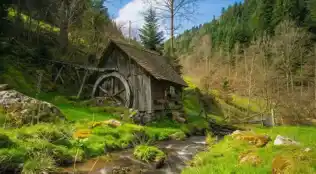 Angebotsbild