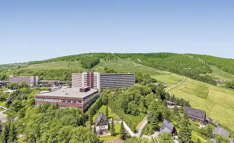 Nächte Ahorn - Bild 1