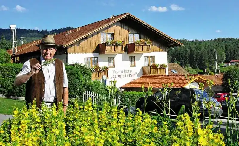 Foto - Nächte Bayrischer