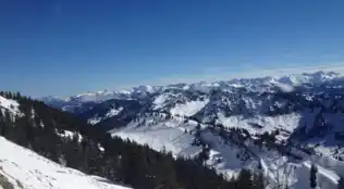angebotsbild