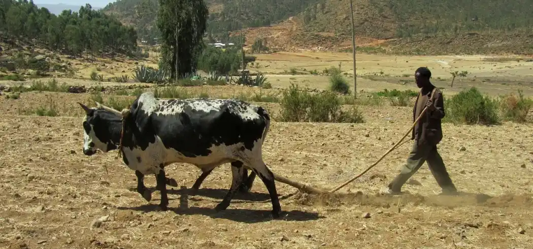 Foto - Ähtiopien Rundreise