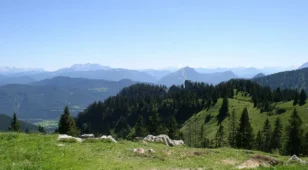 angebotsbild