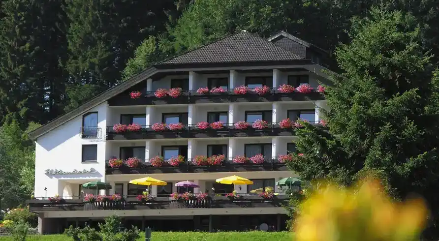 Foto - Nächte Baiersbronn