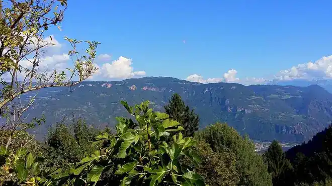 Urlaub Kleinwalsertal - Bild 1