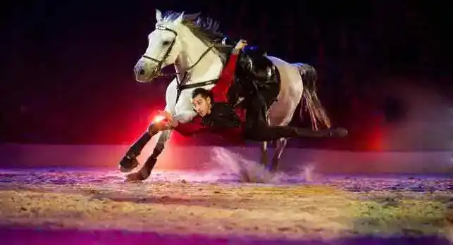 Foto - Apassionata Magdeburg