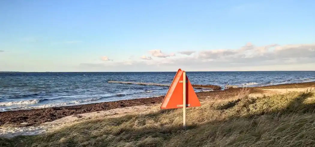 Foto - Autorundreise Deutsche