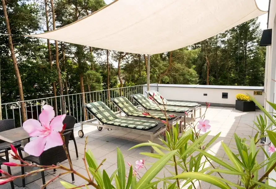 Detail - Bad Bevensen - Lüneburger Heide Heidehotel Bad Bevensen