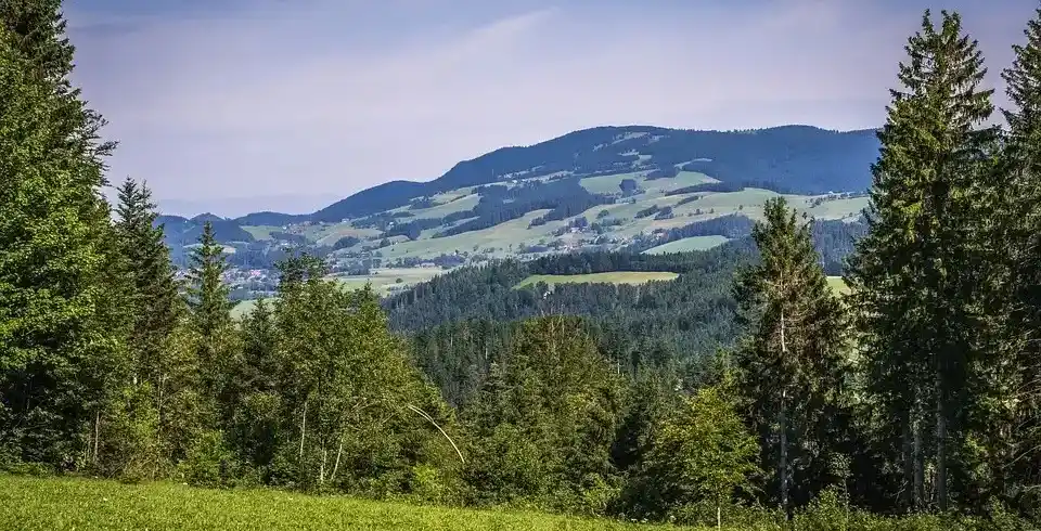 Einen ruhigen und üppigen Landschaftsbildschirm, der einen Blick auf die Hügel und Berge um Bad Herrenalb bietet. Die