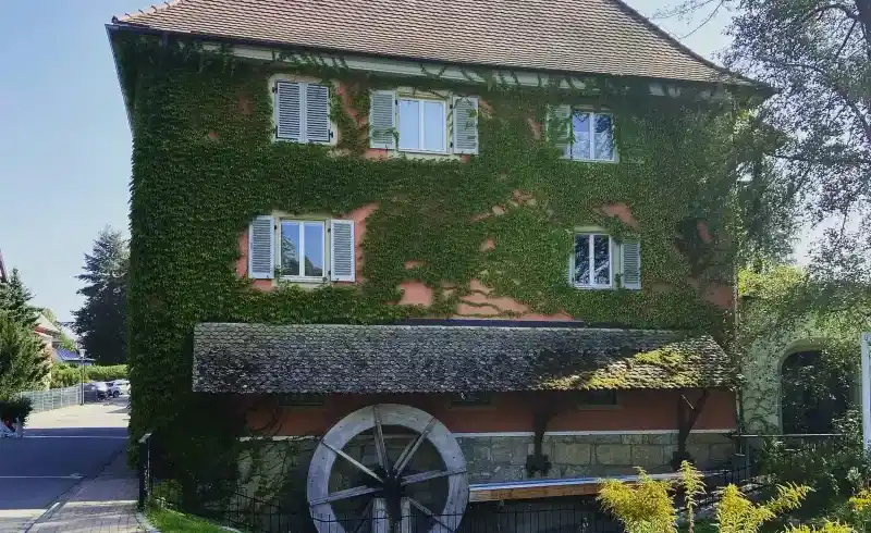 Bad Krozingen - Bild 3