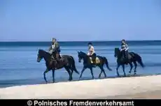 Badeurlaub Ostsee - Bild 1