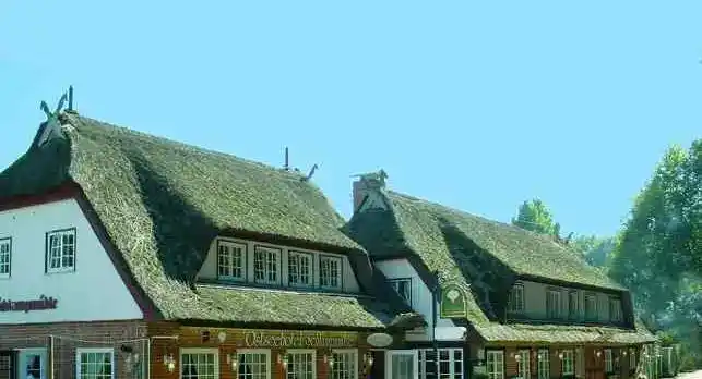 Badeurlaub Ostsee - Bild 1