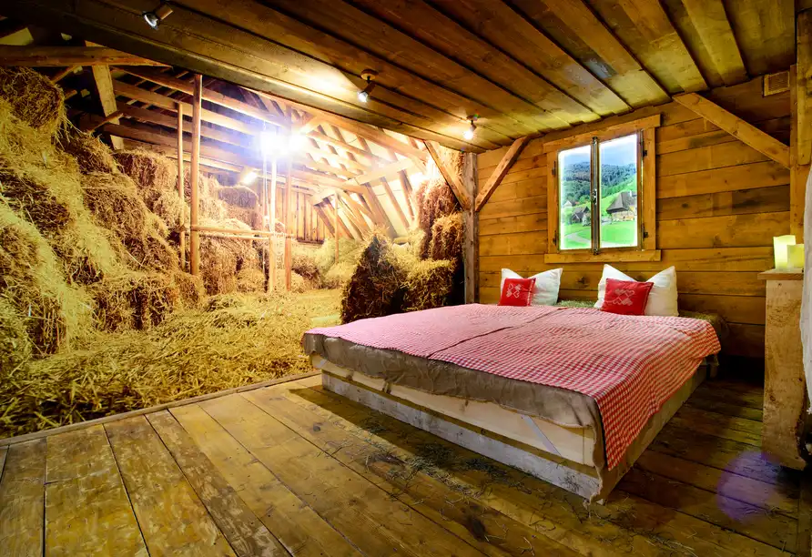 Aufnahme - Holzschuhs Schwarzwaldhotel