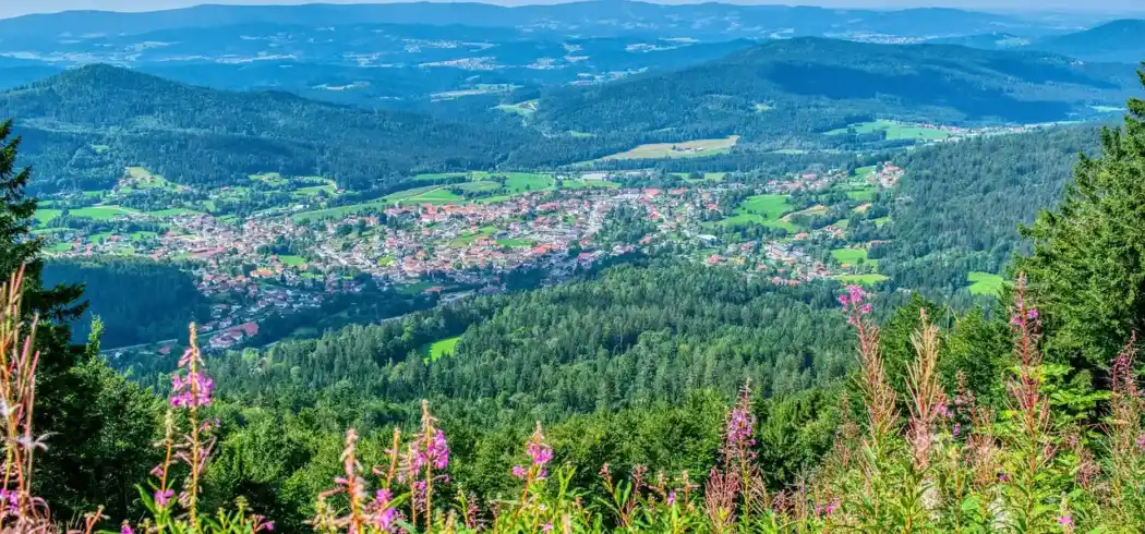 Foto - Bayerischer Wald