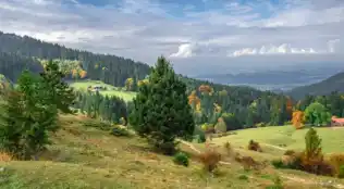 Angebotsbild