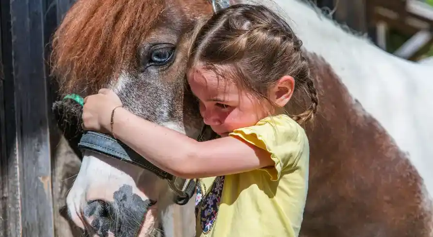 Bayrischer Wald - Bild 6
