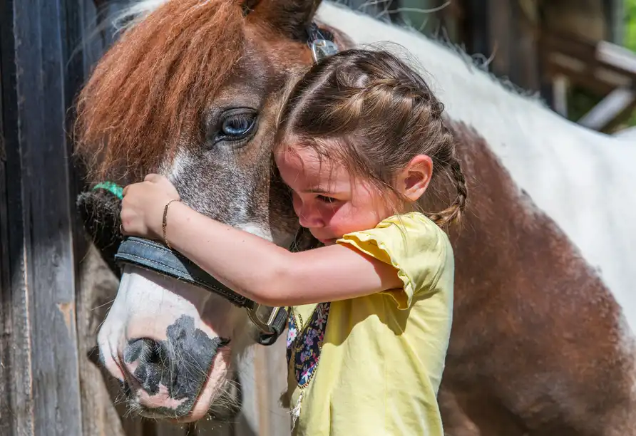 Detail - Bayrischer Wald