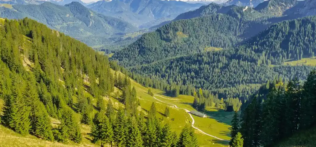 Foto - Landhotel Rosenberger