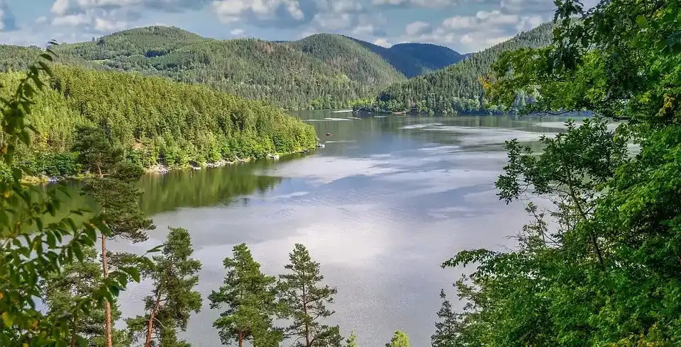Foto - Thüringer Wald
