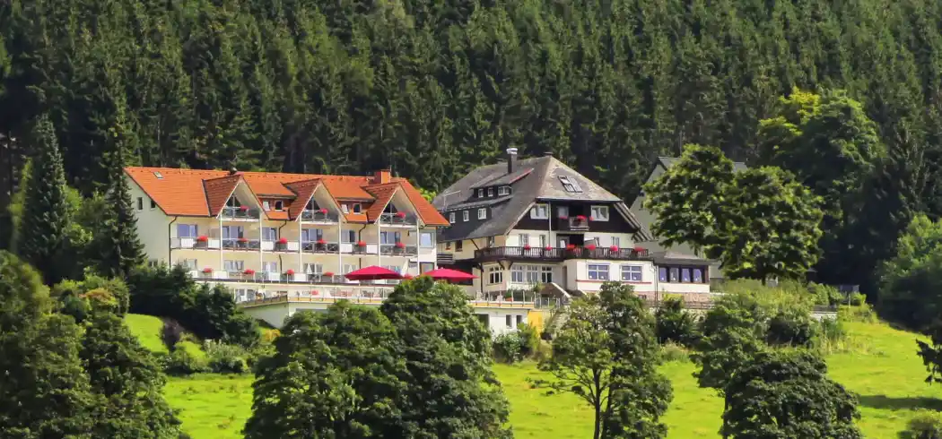 Schwarzwald Nahe - Bild 1