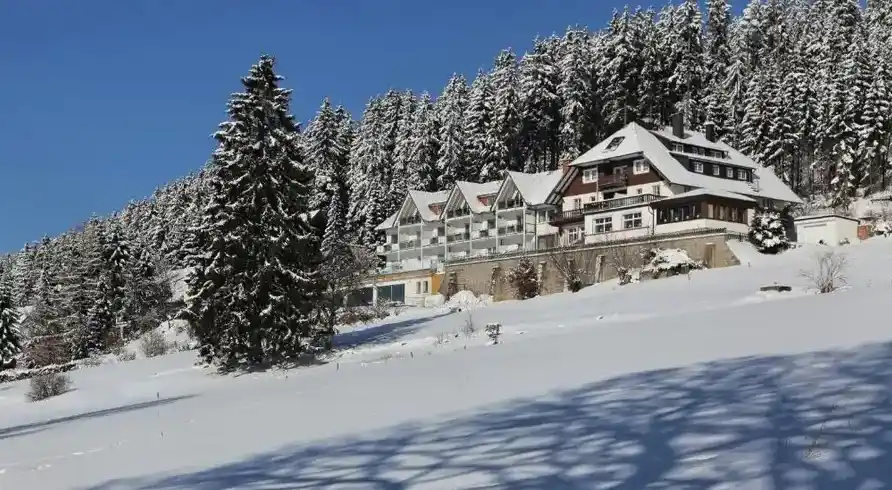 Schwarzwald Nahe - Bild 2