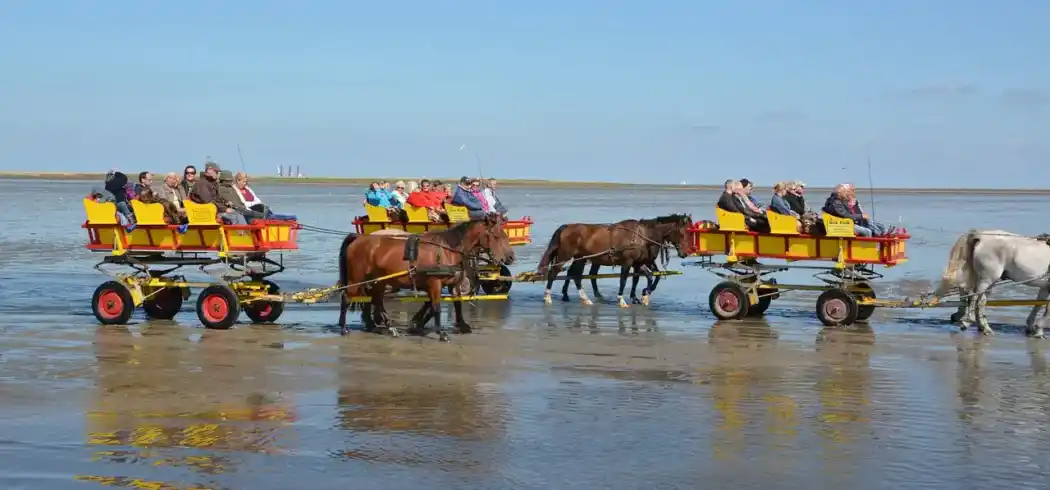 Foto - Cuxhaven Woche