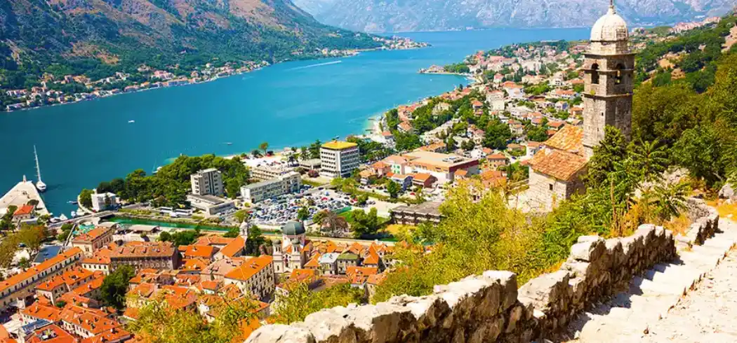 Foto - Wilde Schönheit