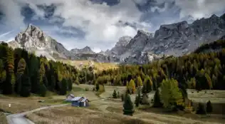 Angebotsbild