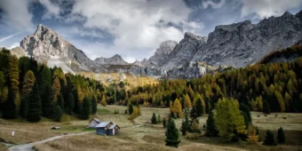 Angebotsbild