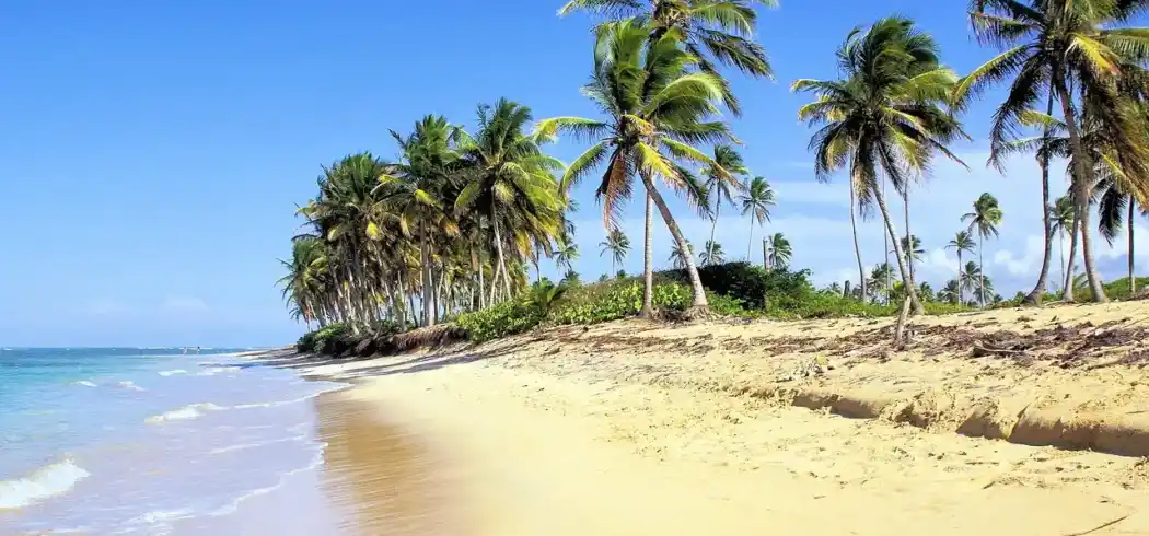 Foto - Dominikanische Republik entdecken Rundreise & Strandurlaub