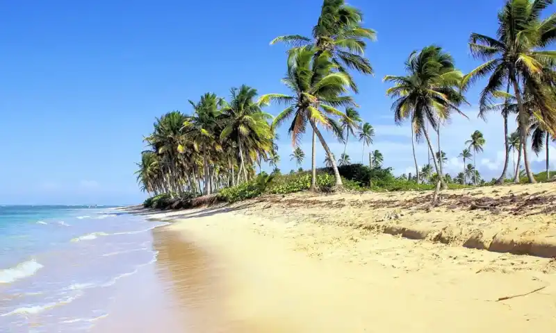 Dominikanische Republik entdecken 13 Tage Rundreise & Strandurlaub