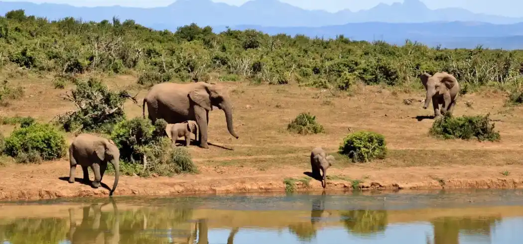 Foto - Dubai Südafrika & Mauritius Kombination