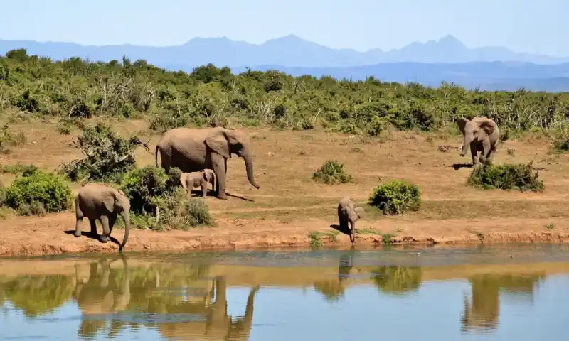 Neu bei uns Dubai, Südafrika & Mauritius Kombination