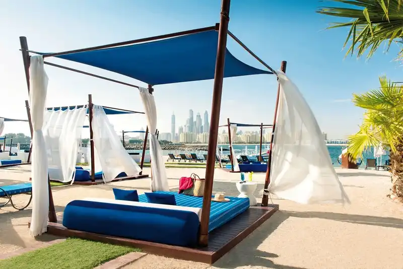 Impression - The Palm