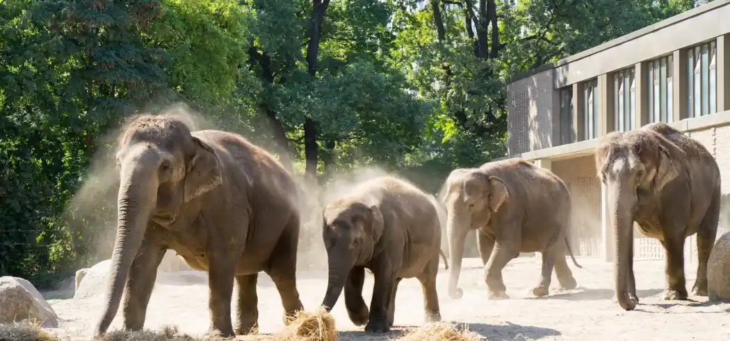 Erlebnis Zoo - Bild 1