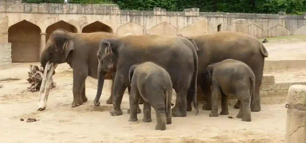 Erlebniszoo Hannover - Bild 1