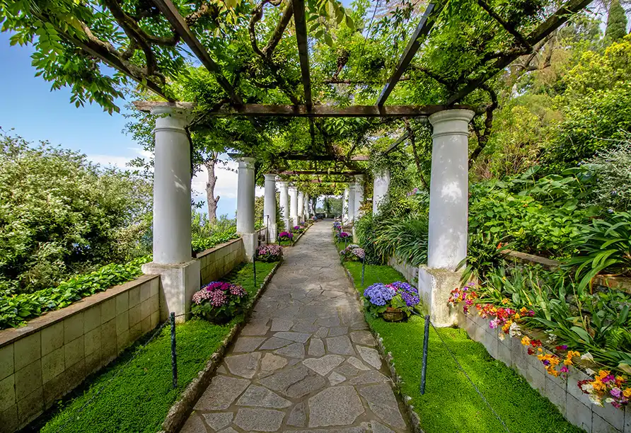 Aufnahme - Erlebnisreise Ischia